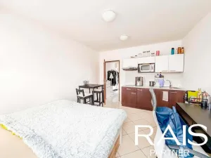Prodej bytu 1+kk, Brno - Husovice, Svitavská, 30 m2
