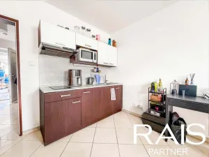 Prodej bytu 1+kk, Brno - Husovice, Svitavská, 30 m2