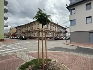 Pronájem bytu 2+kk, České Budějovice, Lipenská, 47 m2