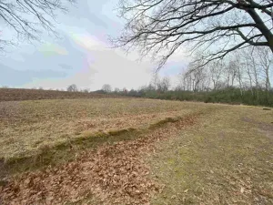 Dražba pozemku, Drahonice, 2121 m2