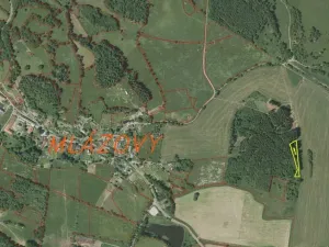 Dražba louky, Kolinec, 2385 m2