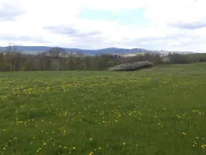Dražba louky, Staré Město, 10063 m2