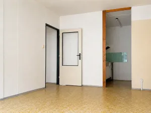 Prodej bytu 2+kk, Čáslav, R. Těsnohlídka, 43 m2