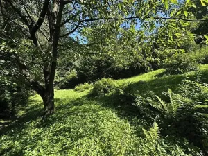 Prodej chaty, Ostravice, 55 m2