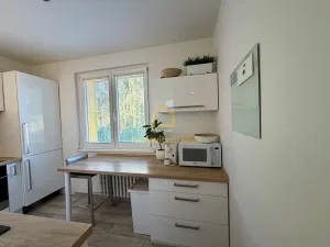 Pronájem bytu 3+1, Ostrava, Adamusova, 55 m2