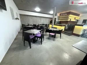 Prodej komerční nemovitosti, Pavlov, Česká, 264 m2