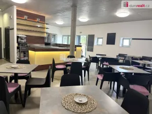 Prodej komerční nemovitosti, Pavlov, Česká, 264 m2
