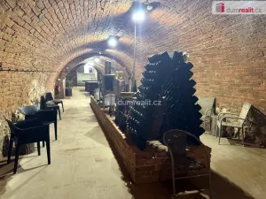 Prodej komerční nemovitosti, Pavlov, Česká, 264 m2