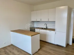 Pronájem bytu 2+kk, Praha - Libeň, Lindnerova, 48 m2