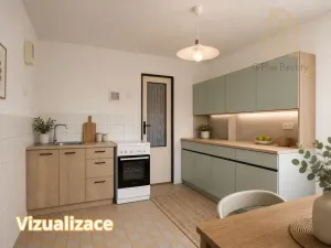 Prodej rodinného domu, Raná, 218 m2
