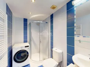 Prodej rodinného domu, Chomutov, Václavská, 156 m2