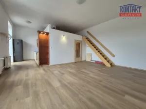 Pronájem bytu 1+kk, České Budějovice - České Budějovice 7, 46 m2