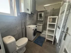 Pronájem bytu 1+1, Peruc, V Edenu, 44 m2