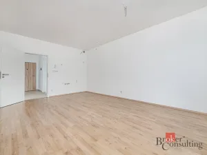 Prodej bytu 1+kk, Plzeň - Jižní Předměstí, Železná, 37 m2