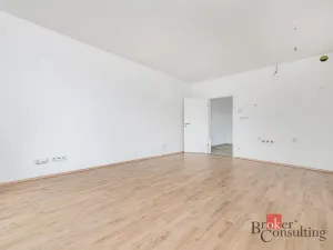 Prodej bytu 1+kk, Plzeň - Jižní Předměstí, Železná, 37 m2