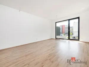Prodej bytu 1+kk, Plzeň - Jižní Předměstí, Železná, 37 m2