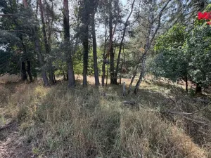 Prodej pole, Úštěk, 8460 m2