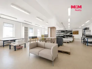 Prodej obchodního prostoru, Letohrad, Petříkov, 1200 m2
