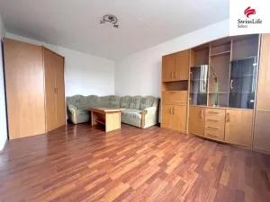 Pronájem bytu 1+1, Plzeň - Skvrňany, Lábkova, 40 m2