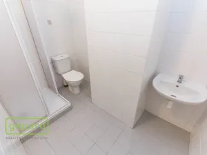 Pronájem bytu 1+kk, Praha - Holešovice, Pplk. Sochora, 41 m2