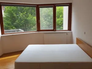 Pronájem bytu 2+kk, Praha - Podolí, Nedvědovo náměstí, 51 m2