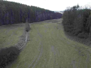 Dražba pole, Horšovský Týn, 385 m2
