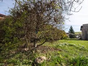 Prodej pozemku pro bydlení, Ořech, Polní, 1140 m2