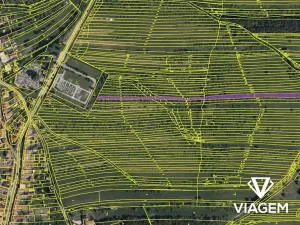 Prodej podílu zahrady, Velká nad Veličkou, 1058 m2