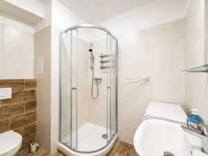 Pronájem bytu 2+1, Brno, Francouzská, 44 m2