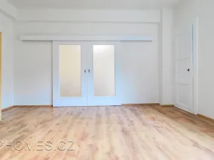 Pronájem bytu 2+kk, Praha - Žižkov, Biskupcova, 46 m2