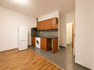 Pronájem bytu 1+kk, Praha - Vysočany, Freyova, 30 m2