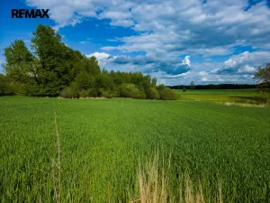 Prodej pozemku pro bydlení, Jindřichův Hradec - Dolní Radouň, 10262 m2