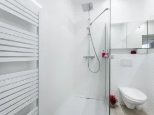 Pronájem bytu 1+kk, Albrechtice nad Orlicí, 1. máje, 26 m2