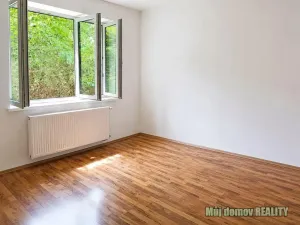 Pronájem bytu 1+kk, Praha - Libeň, V Holešovičkách