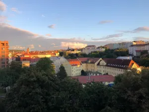 Pronájem bytu 1+kk, Praha - Vinohrady, Rejskova, 40 m2