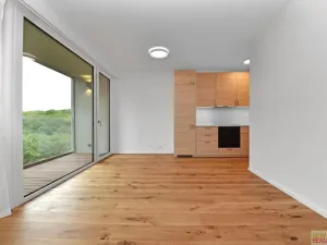Pronájem bytu 2+kk, Praha - Radlice, U Komína, 47 m2