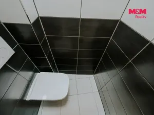 Pronájem bytu 2+1, Praha - Vinohrady, Španělská, 52 m2