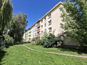Prodej bytu 2+1, Ostrava, Na Široké, 49 m2