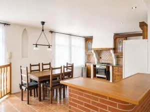 Pronájem bytu 4+kk, Praha - Žižkov, Hartigova, 200 m2