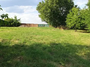 Prodej rodinného domu, Olbramice, 190 m2