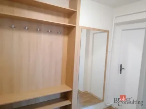 Pronájem bytu 1+1, Ostrava - Přívoz, Newtonova, 42 m2