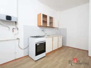 Pronájem bytu 1+1, Ostrava - Přívoz, Newtonova, 42 m2