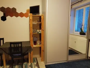 Pronájem bytu 1+1, Brno, Štěpánská, 33 m2