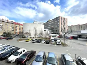 Pronájem bytu 1+kk, Olomouc - Hodolany, Březinova, 46 m2