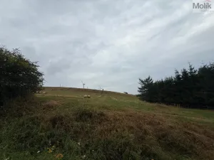 Prodej pozemku pro bydlení, Nová Ves v Horách, 3241 m2