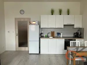 Pronájem bytu 1+kk, Prostějov, Winklerova, 39 m2
