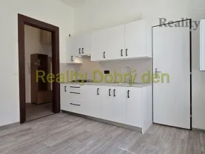 Pronájem bytu 1+1, Opava, Sokolovská, 42 m2