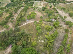Prodej zahrady, Hustopeče, 3741 m2