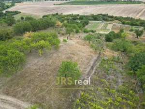 Prodej zahrady, Hustopeče, 3741 m2