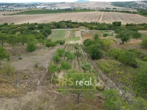 Prodej zahrady, Hustopeče, 3741 m2